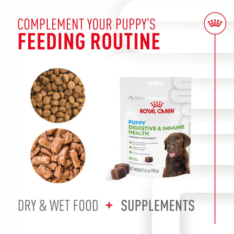 Immunity Digestion Chews (Puppy)