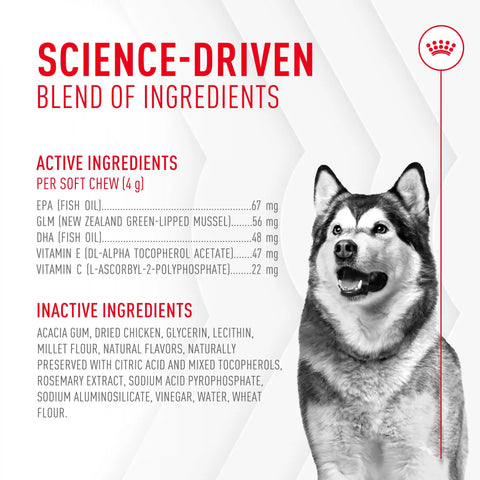 Joint Supplement Soft Chews for Adult Dogs