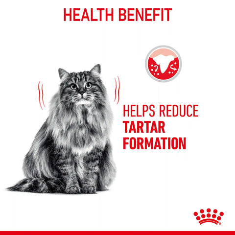 Dental Care Dry Cat Food