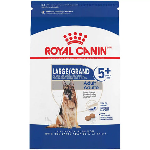 Large Adult 5+ Dry