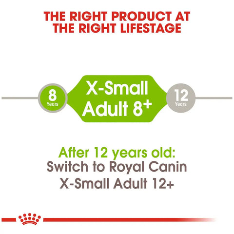 X-Small Adult 8+