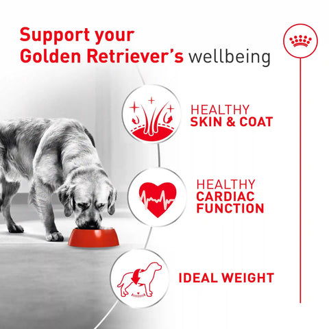 Golden Retriever Adult Dry Dog Food