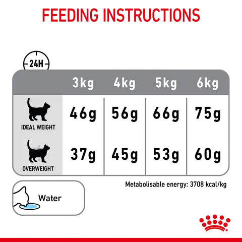 Dental Care Dry Cat Food