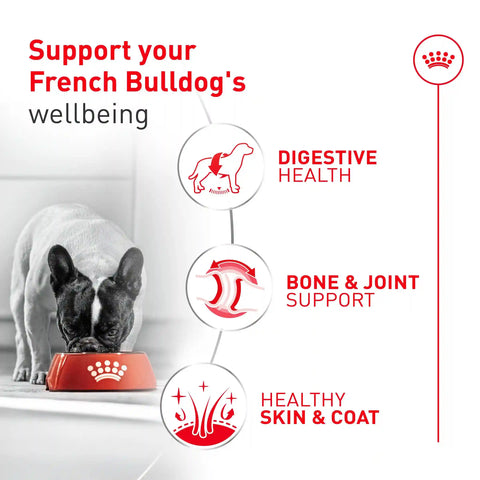 French Bulldog Loaf In Sauce Canned Dog Food