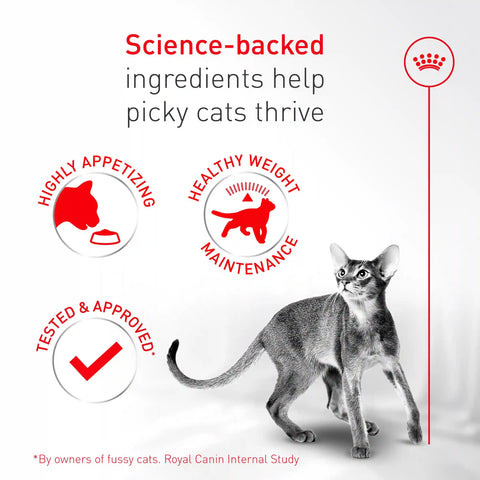 Fussy Adult Dry Cat Food