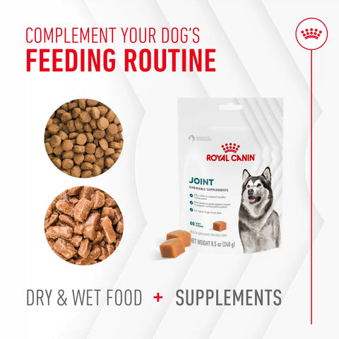 Joint Supplement Soft Chews for Adult Dogs