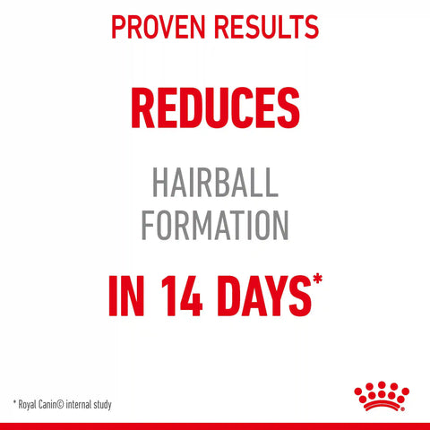 Hairball Care Dry Cat Food