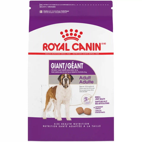 Giant Adult Dry