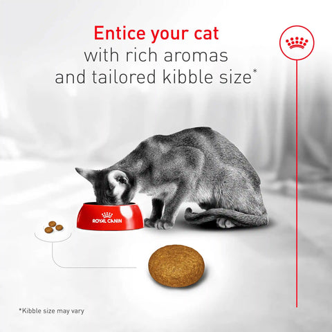 Fussy Adult Dry Cat Food