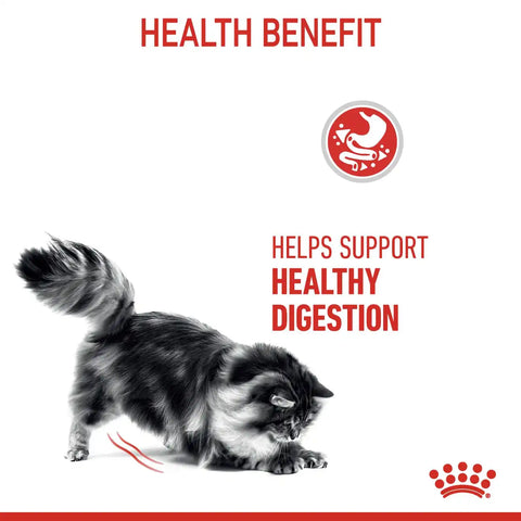 Digestive Care Dry Cat Food