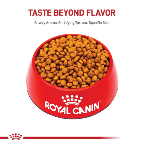 Golden Retriever Puppy Dry Dog Food