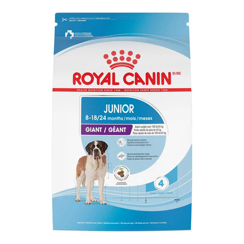 Giant Junior Dry