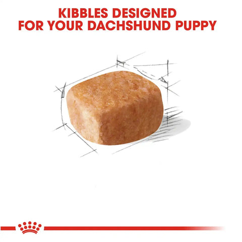 Dachshund Puppy Dry Dog Food