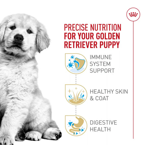 Golden Retriever Puppy Dry Dog Food