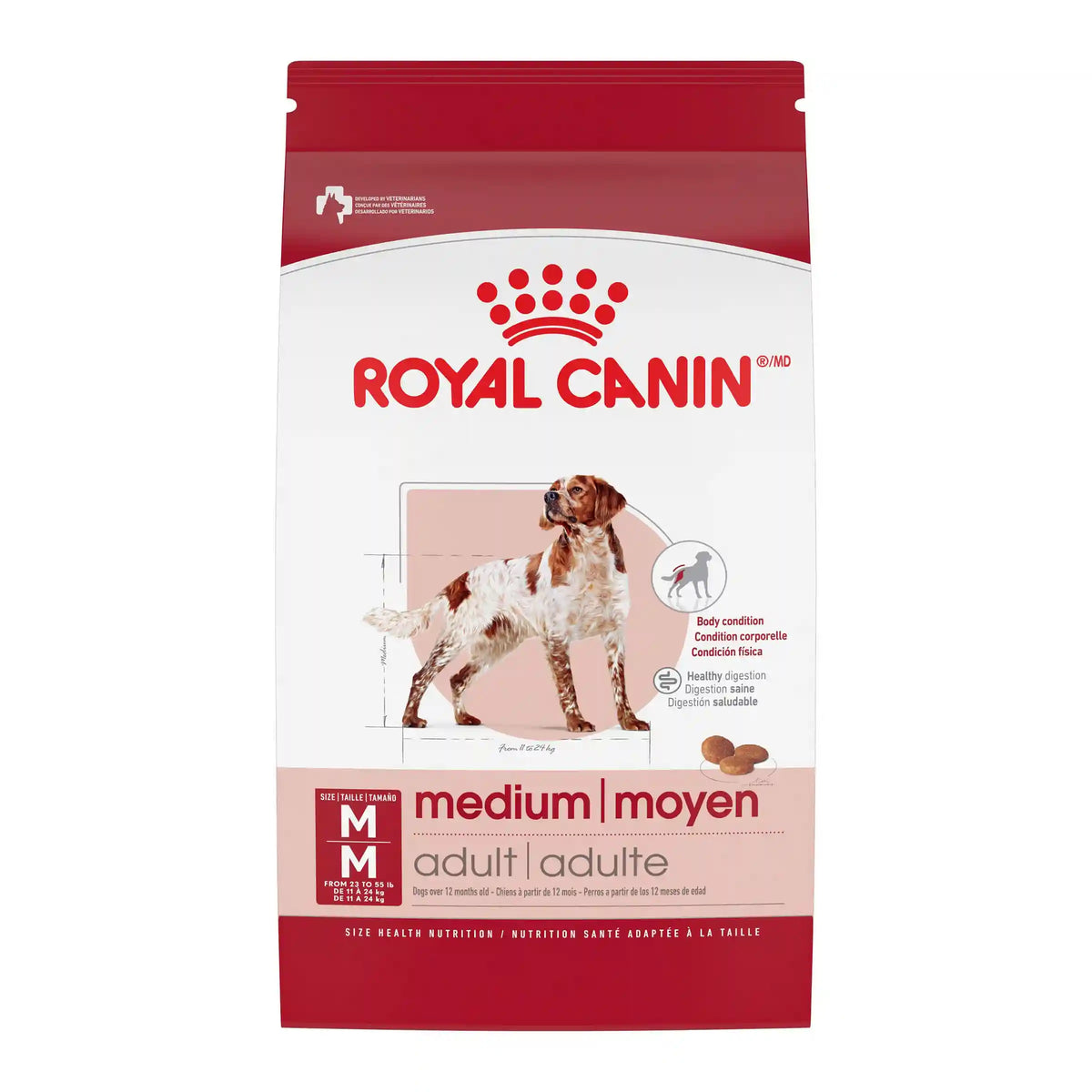 Medium Adult Dry
