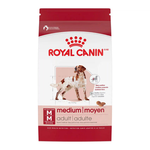 Medium Adult Dry