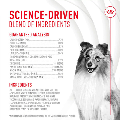 Skin & Coat Supplement Soft Chews for Adult Dogs