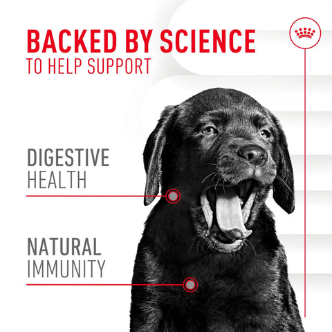 Immunity Digestion Chews (Puppy)