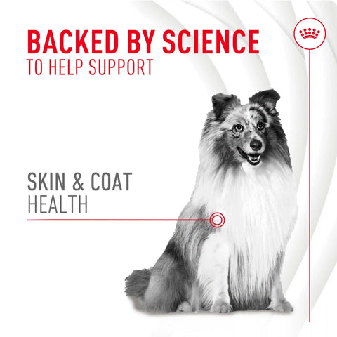 Skin & Coat Supplement Soft Chews for Adult Dogs